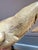 Metal Vintage Ibis Bird Sculptures by Elli Malevolti, 1950, Set of 2 For Sale - Image 7 of 16