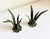 Green Italian Tole Leaf Candle Holders, a Pair, 1960s For Sale - Image 8 of 10