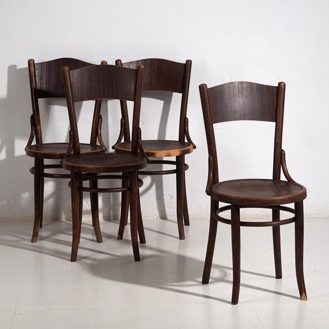 Vintage Bentwood Chairs, 1920, Set of 4 For Sale - Image 9 of 9