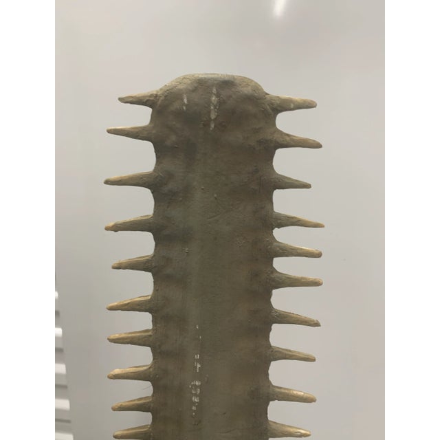 1980s Set of 2 Faux Sawfish Bill Rostrums on Metal Stands, 1980s For Sale - Image 5 of 11