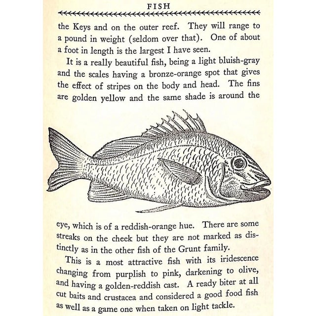 1930s "Florida Fishing" 1931 Miller, Stewart For Sale - Image 5 of 6