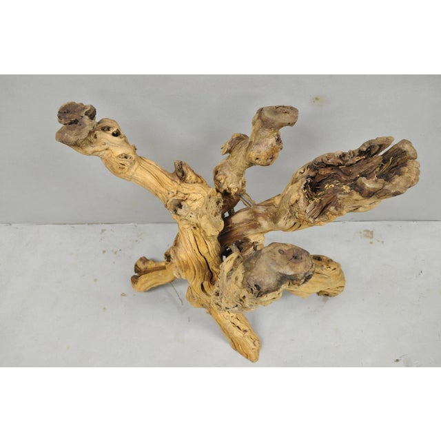Vintage Mid Century Modern Natural Burl Driftwood Demilune Glass Console Table For Sale In Philadelphia - Image 6 of 18