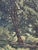 Godfred Christensen, Sunlit Beech Forest, Oil Painting, 1879 For Sale - Image 7 of 11