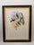 1990s Framed Prints, Set of 4, Swallow-Tail, Refulgent Wood Nymph, Black-Banded Wood Nymph, Blue-Crowned Wood Nymph Hummingbird Hill House Editions For Sale - Image 4 of 17