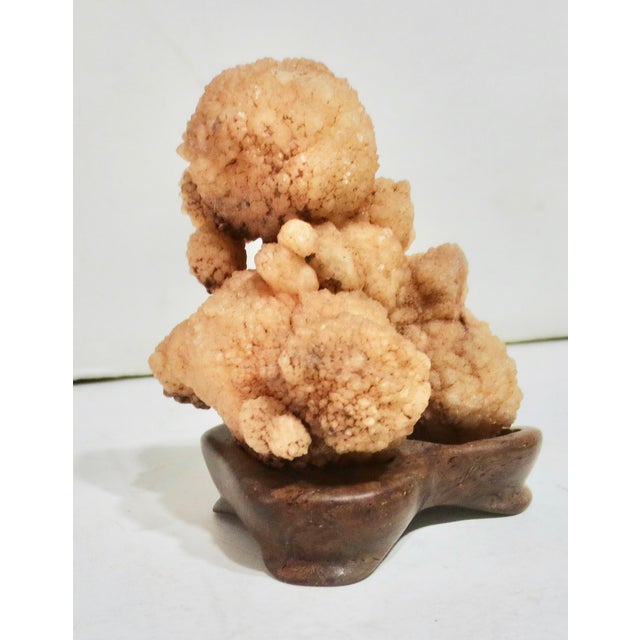 Gobi Agate Specimen on Wooden Stand For Sale - Image 4 of 6