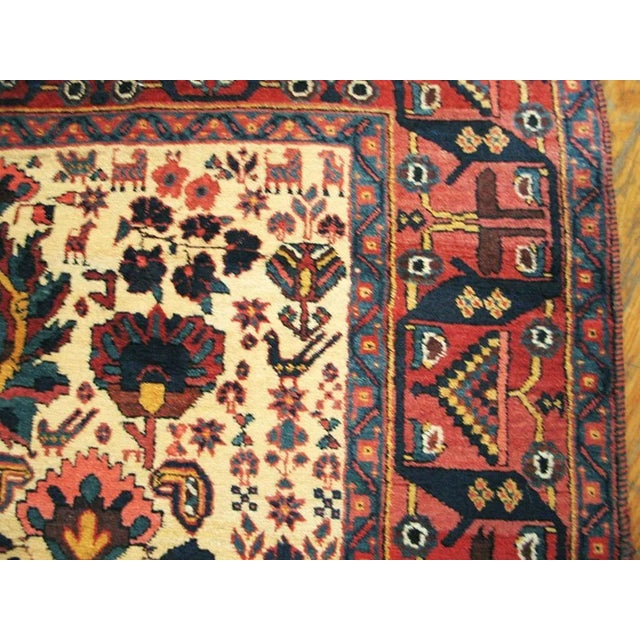 Late 19th Century S.E. Persian Afshar Carpet ( 5'2" x 6'7" - 157 x 201 ) For Sale - Image 4 of 8
