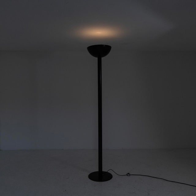 Steerable and Extendable Luci Floor Lamp, 1980s For Sale - Image 10 of 10