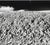 Contemporary "Moonscape" 1988 - Gelatin Silver Print by Jacques Gael Cressaty For Sale - Image 3 of 3