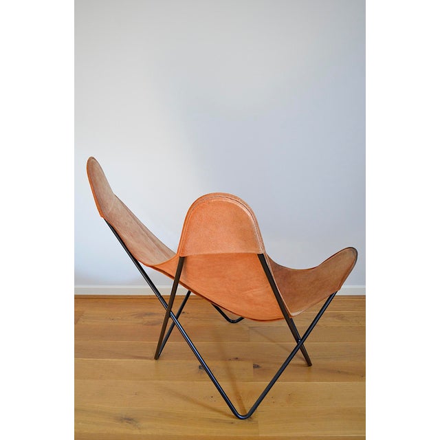 Butterfly Chair attributed to Jorge Hardoy-Ferrari for Knoll, 1960s For Sale - Image 12 of 18