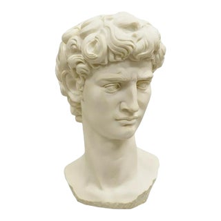 Late 20th Century Vintage Italian Resin Michelangelo Bust of David Sculpture After A. Giannelli For Sale