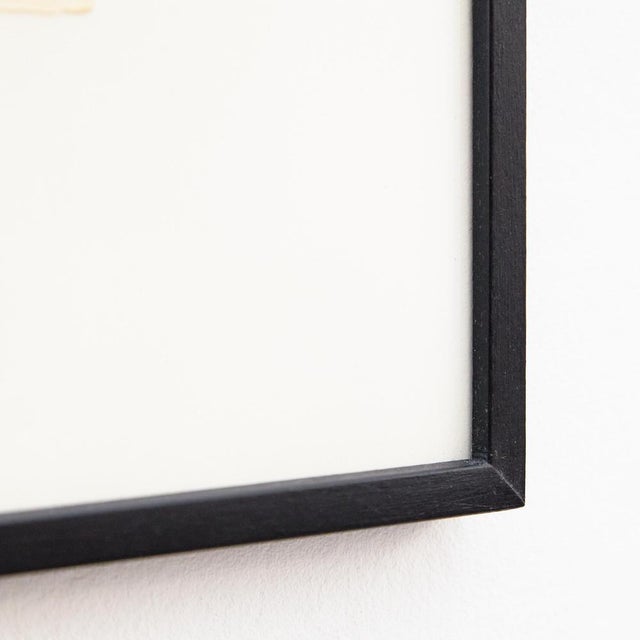 1950s Françoise Gilot, Untitled, Lithograph, 1951, Paper, Framed For Sale - Image 5 of 9