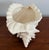 Off-white Large Ceramic Conch Shell For Sale - Image 8 of 10