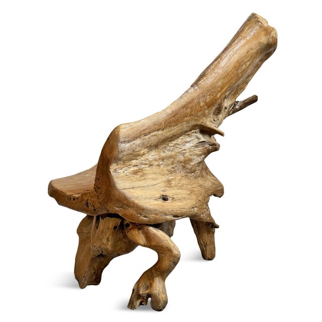 Organic Modern Vintage Freeform Teak Root Chair For Sale In Los Angeles - Image 6 of 6
