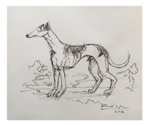 Leszek Rózga, A Dog, 2012, Drawing on Paper