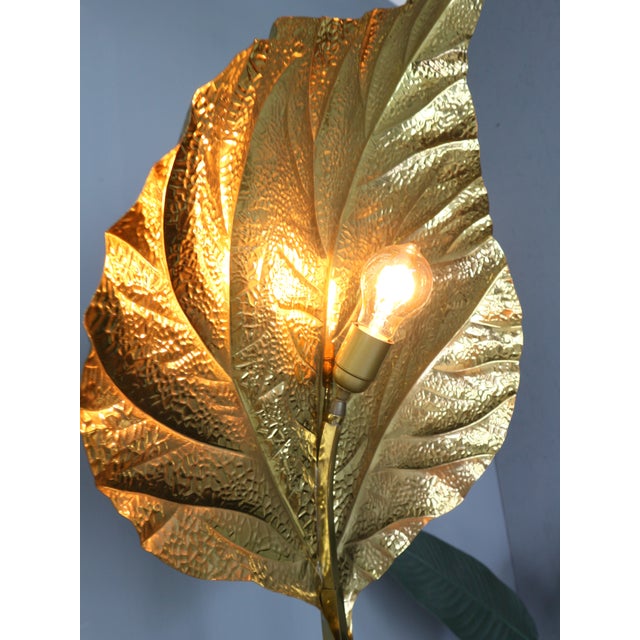 Gold Vintage Rhubarb Floor Lamp by Tommaso Barbi for Bottega Gadda, 1970 For Sale - Image 8 of 15