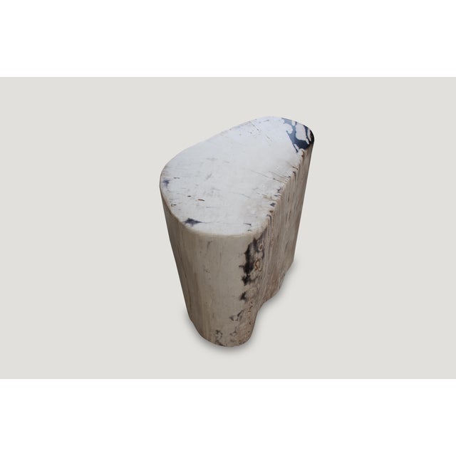 Contemporary Andrianna Shamaris Soft Toned Rare High Quality Petrified Wood Side Table For Sale - Image 3 of 5