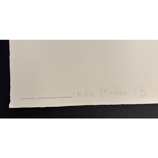 Salvador Dali "Gladiolus (Ears)" Etchings, 1972 For Sale - Image 12 of 12