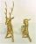 Mid-Century Modern Vintage Brass Buck and Doe Reclining Deer Figurines - a Pair For Sale - Image 3 of 11