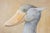 Painted canvas, or decorative panel, representing a bird, more precisely a Nile shoebill. Contemporary French work of...