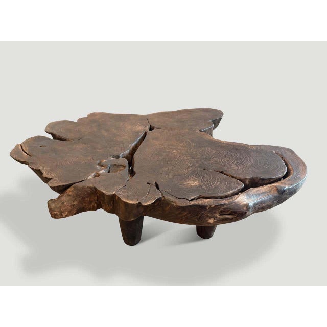Andrianna Shamaris Modern Teak Wood Coffee Table with Charred Finish For Sale - Image 4 of 5