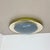 Ceiling Light by Ernest Igl for Hillebrand, Germany, 1950s For Sale - Image 15 of 18