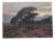 Joseph Perrachon, Landscape with Trees, 20th Century, Painting For Sale