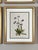 This beautiful set of 6 framed original vintage botanical wildflower prints were published in 1953 They are not modern...