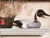 Charming framed print featuring a decorative duck decoy displayed on a mantel alongside dried florals. Presented in a...
