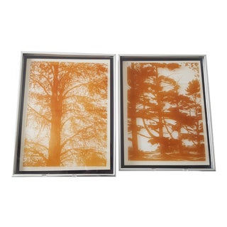 Lucid Lines '3d Tree Silhouettes on Glass' Print - A Pair For Sale