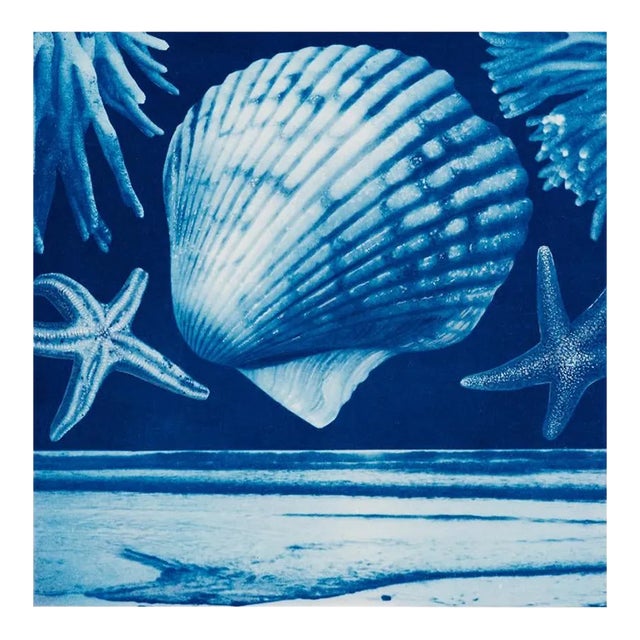 Original Watercolor and Cyanotype on Hahnemuhle Platinum Rag Paper, "Saltwater Gradient, Var 7" For Sale