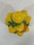 Mid 20th Century Petite Italian Lemons and Oranges Ceramic Topiary For Sale - Image 12 of 16