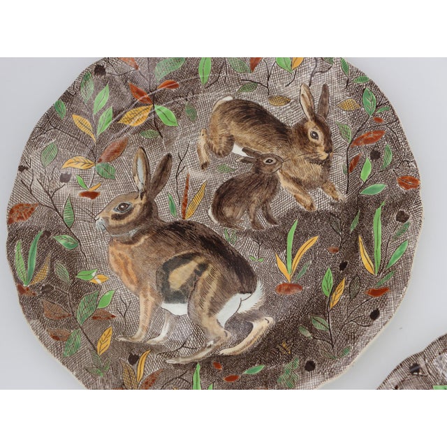 1960s Set of Five Gien France Rambouillet Dinner Plates Hare, Hand-Painted, Earthenware For Sale - Image 4 of 17