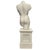 7' Tall Renaissance Style Male Bust Faux Marble Sculpture on Pedestal For Sale - Image 4 of 8