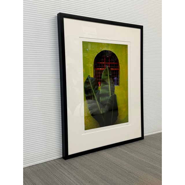 Mexican Jeffrey Becom Maya Color Chartreuse Ltd. Ed. Photograph, Signed For Sale - Image 3 of 12