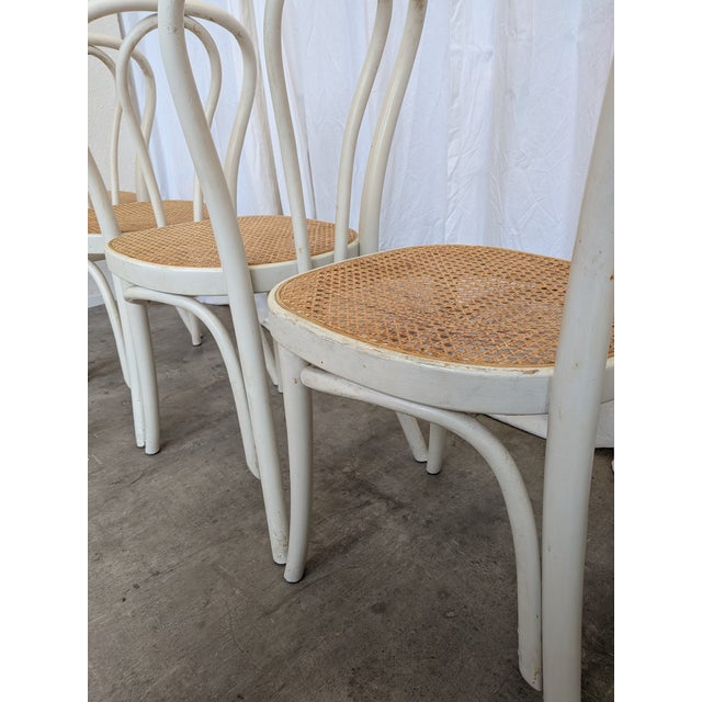 Vintage Dining Chairs in White Wood with Cane Seats, 1970s, Set of 6 For Sale - Image 10 of 18