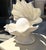 Ceramic 1980s Mid-Century Modern Oyster Shell Lamp Pair: Clam Shell: Sea Shell Lamp Art Deco For Sale - Image 7 of 9