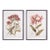 Pretty In Pink Vintage Prints, Set Of 2 For Sale