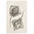 Finely engraved and wonderfully graphic, this 1804 copper engraving was published in the Pisces volume of George Shaw’s...