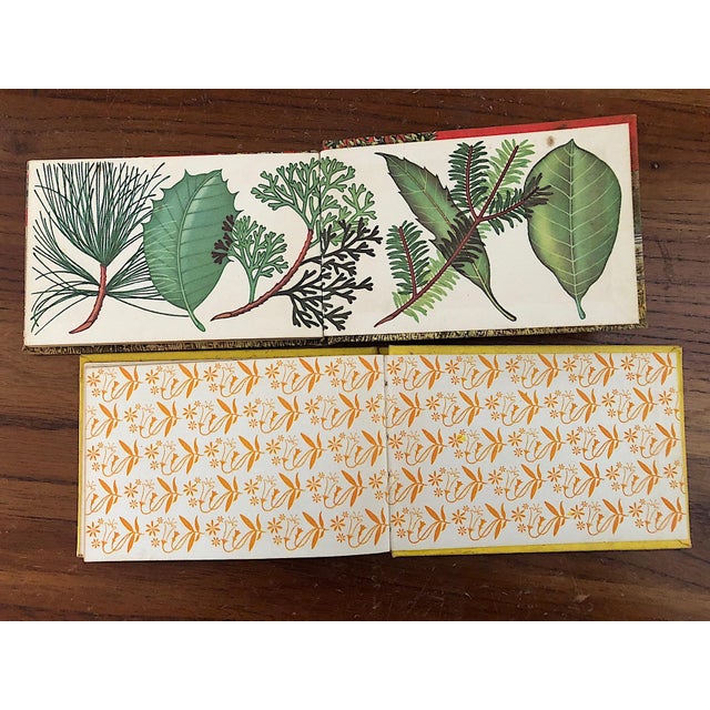 Vintage Tree and Wild Flower Nature Guide Book Set of 2 For Sale - Image 12 of 16