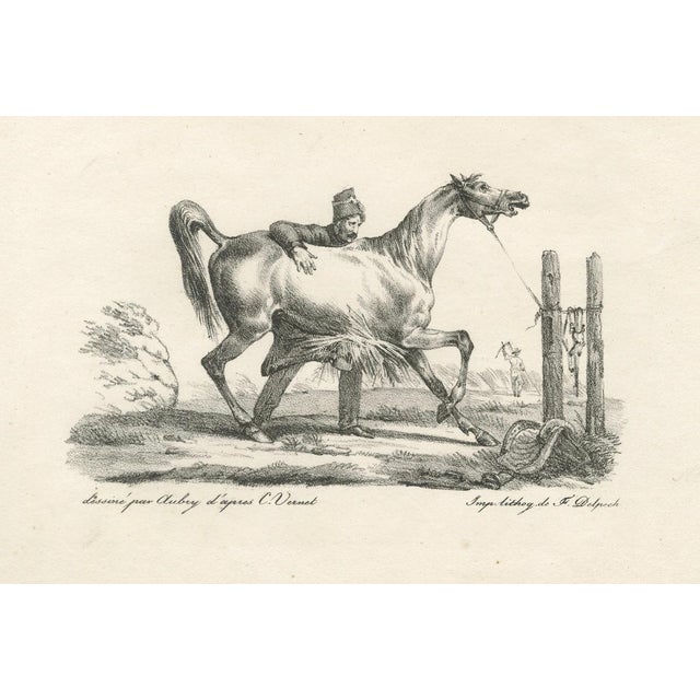 After Carle Vernet, Arabian Horse & Cavalry, 1825, Lithograph For Sale - Image 5 of 9