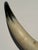 Brown Rustic Vintage Large Hide-Wrapped Steer Horns For Sale - Image 8 of 11