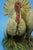 20th Century Stoneware Turkeys Figurine by Guido Cacciapuoti, Italy For Sale - Image 14 of 18