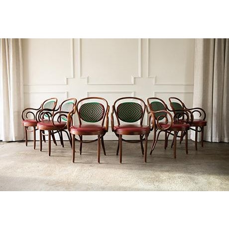 1990s Vintage Cafe Armchairs by Shelby Williams Industries in the Style of Micheal Thonet , Set of 6 For Sale - Image 5 of 18