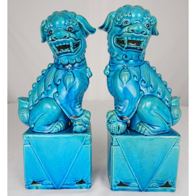 Chinoiserie Early 20th Century Turquoise Blue Glaze Foo Dogs- a Pair For Sale - Image 3 of 12