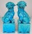 Chinoiserie Early 20th Century Turquoise Blue Glaze Foo Dogs- a Pair For Sale - Image 3 of 12