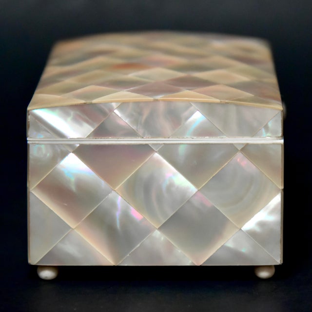 19th Century Domed Victorian Shell Marquetry Box For Sale - Image 4 of 14