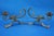 19th Century Art Nouveau Wrought Iron Candelabra with Dragons from A. Mazzucotelli School, Italy, 1920s, Set of 2 For Sale - Image 6 of 18