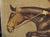 The Hunter Jumper, Early 1900s Signed European Equestrian Oil on Canvas Painting For Sale - Image 14 of 18