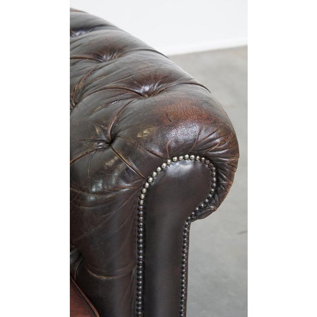 Dark Brown 3-Seater Cowhide Chesterfield Sofa For Sale - Image 11 of 15