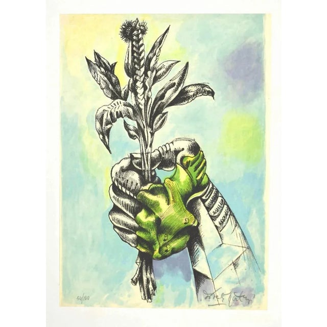 Daniele Dimitri, Vegetation, Late 20th-Century, Lithograph For Sale - Image 3 of 3